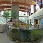 Inside Nicandri Nature Center