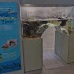 aquarium_bg