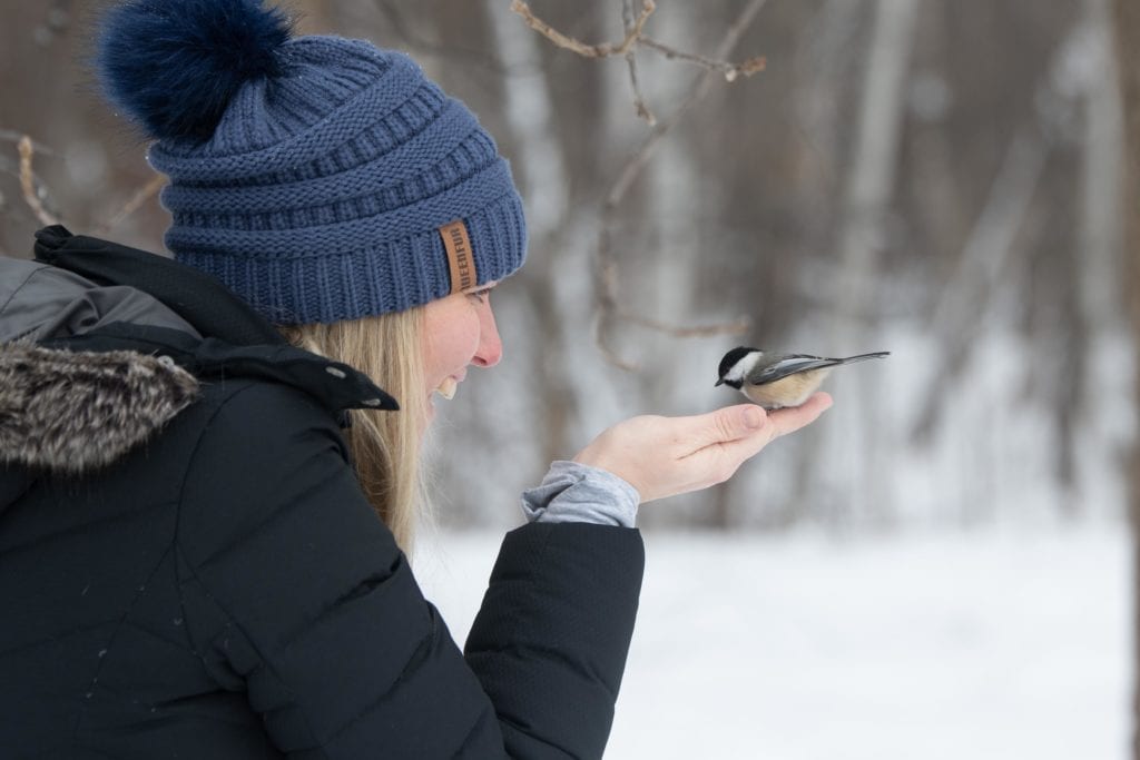 Lady Feeding Chickadee At Nicandri Nature Center