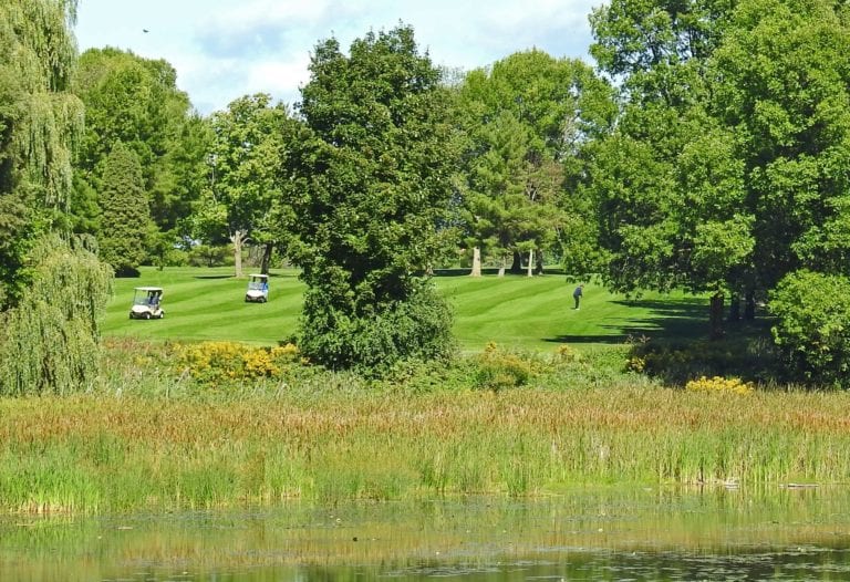 River Course Golfers Playing Course